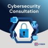 Cybersecurity Consultation